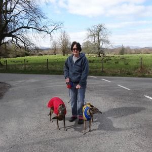 Meet your Posher, Isolde